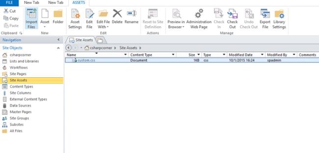 custom.CSS